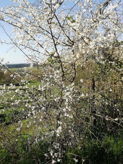 Gite Aux Bois D'En Temps Lunas  Esterno foto
