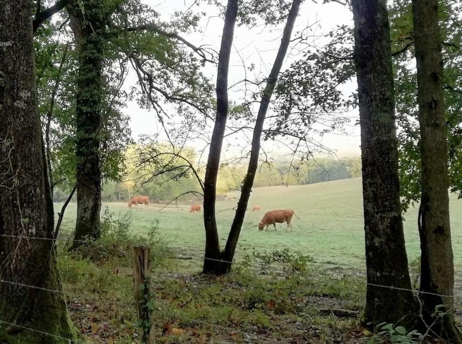 Gite Aux Bois D'En Temps Lunas  Esterno foto